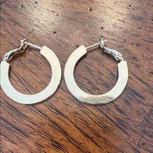 Elegant Gold Hoop Earrings
